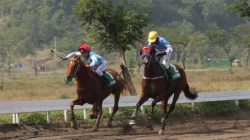 olahraga berkuda di indonesia makin menggeliat itu penglihatan pordasi b2aea8b