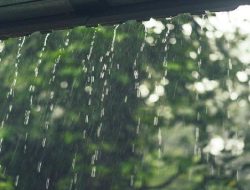 Prakiraan Cuaca 33 Kota Di Indonesia Kamis, 19 Januari 2023: Makassar Diguyur Hujan Seharian