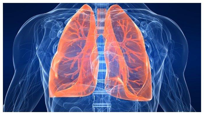 penyakit paru obstruktif kronis jadi beban ekonomi dan sosial kemenkes bisa dicegah dan diobati ac9229c