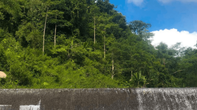 Bagaimana pendidikan lingkungan dapat ditanamkan melalui kurikulum sd