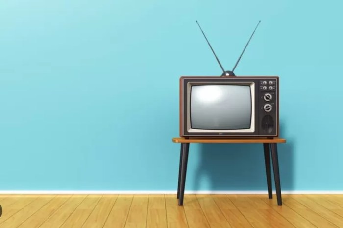 Jelaskan fungsi televisi sebagai media pendidikan