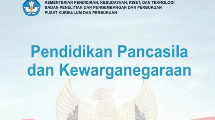 Download RPP PKN terbaru untuk SMP kelas 7